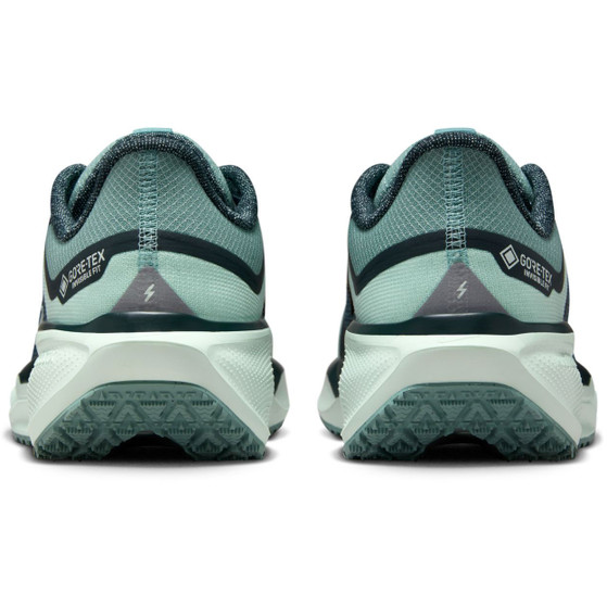 Nike Pegasus 41 GTX Dames