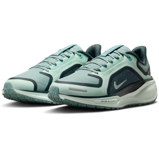 Nike Pegasus 41 GTX Dames