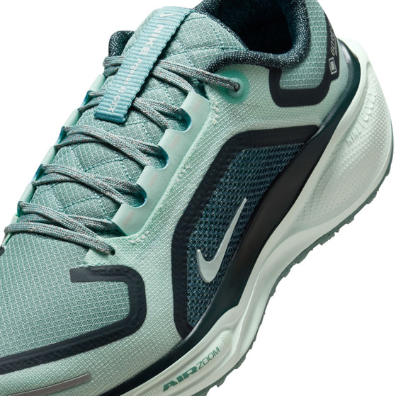 Nike Pegasus 41 GTX Dames