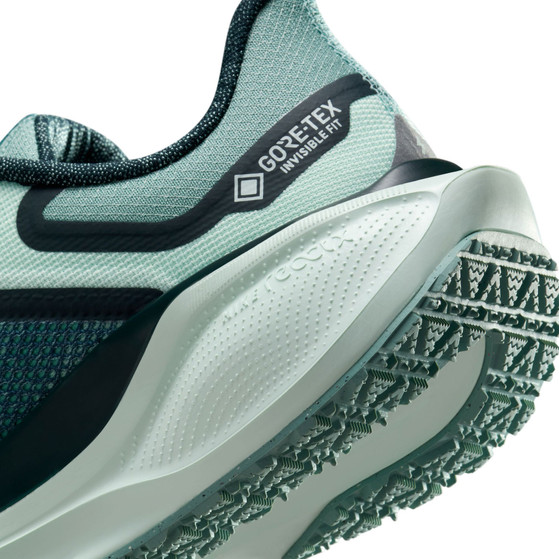 Nike Pegasus 41 GTX Dames