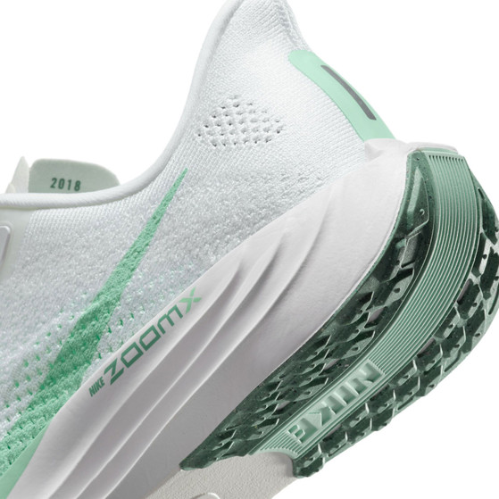 Nike Pegasus Plus Damen