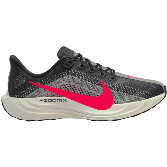 Nike Pegasus Plus Herren