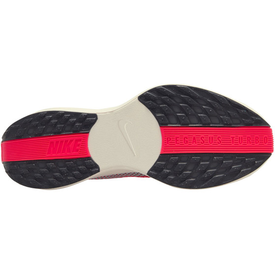 Nike Pegasus Plus Herren