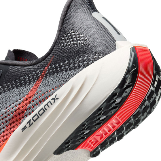 Nike Pegasus Plus Herren