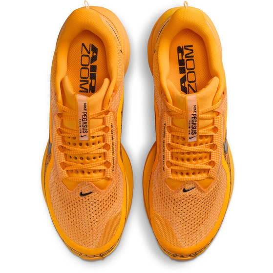 Nike Pegasus Premium Men