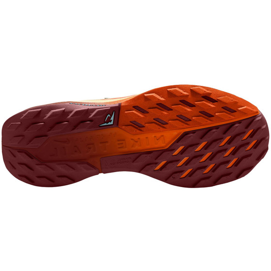 Nike Pegasus Trail 5 GTX Women