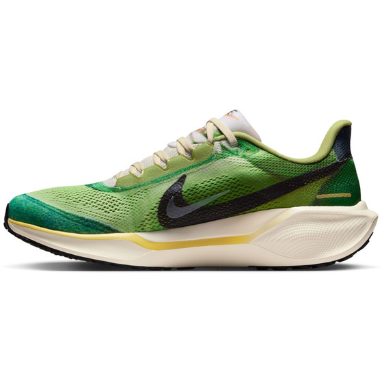 Nike Pegasus 41 SE Heren