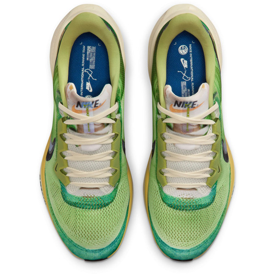 Nike Pegasus 41 SE Heren