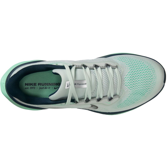 Nike Pegasus 41 Dames