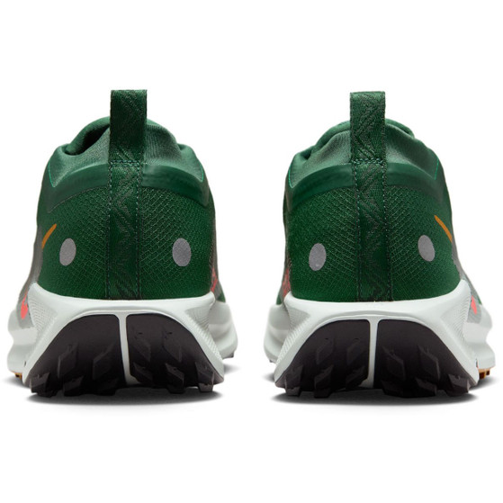 Nike Pegasus Trail 5 GTX Heren