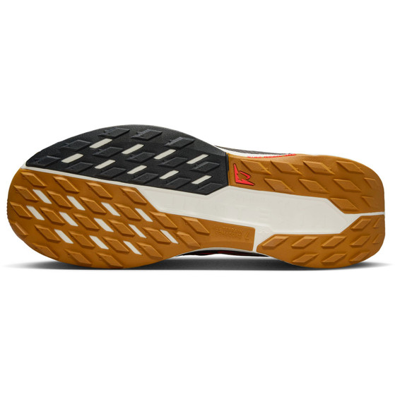 Nike Pegasus Trail 5 Heren