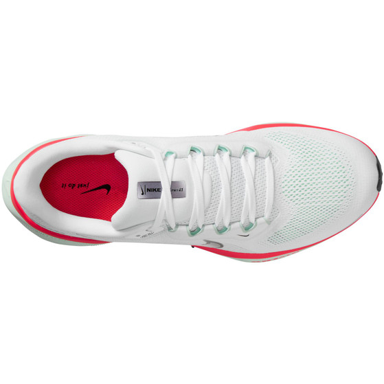 Nike Pegasus 41 Herren