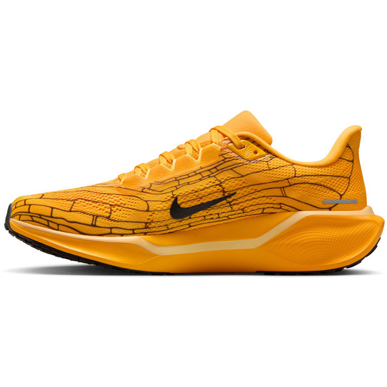 Nike Pegasus 41 Herren