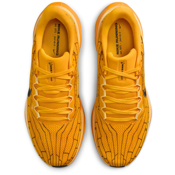 Nike Pegasus 41 Heren