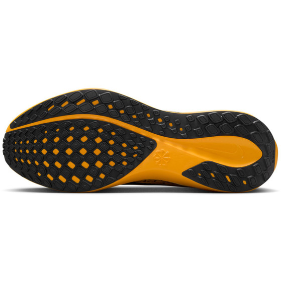 Nike Pegasus 41 Heren