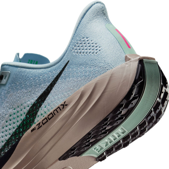 Nike Pegasus Plus Herren
