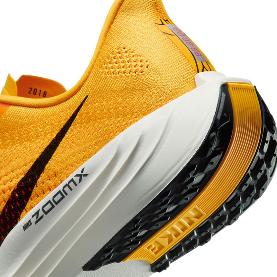 Nike Pegasus Plus Heren