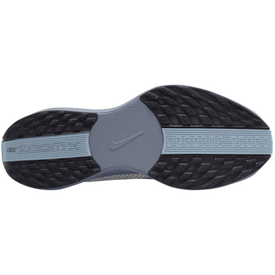Nike Pegasus Plus Herren