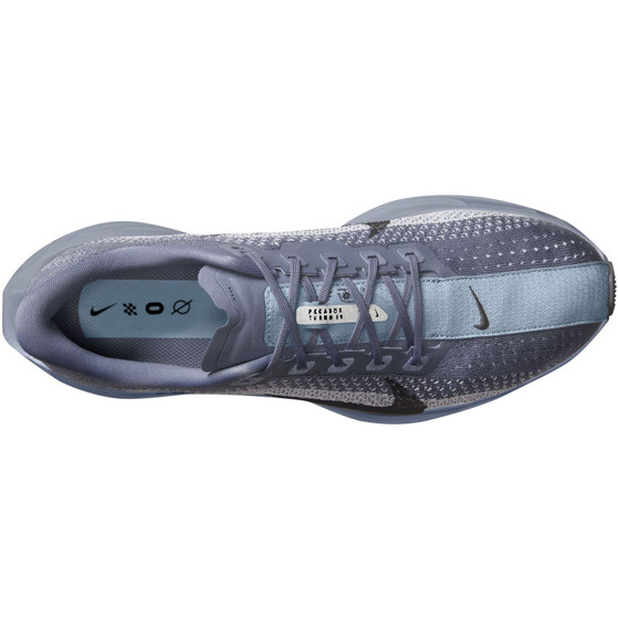 Nike Pegasus Plus Herren