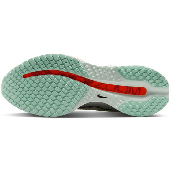 Nike Pegasus Premium Men