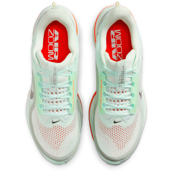 Nike Pegasus Premium Men
