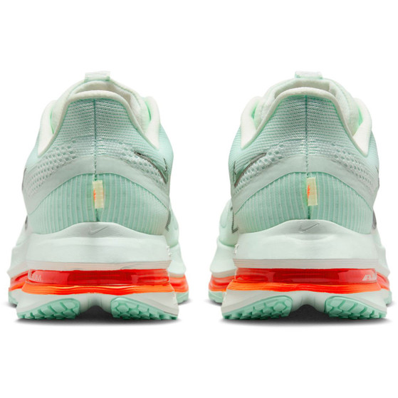 Nike Pegasus Premium Men