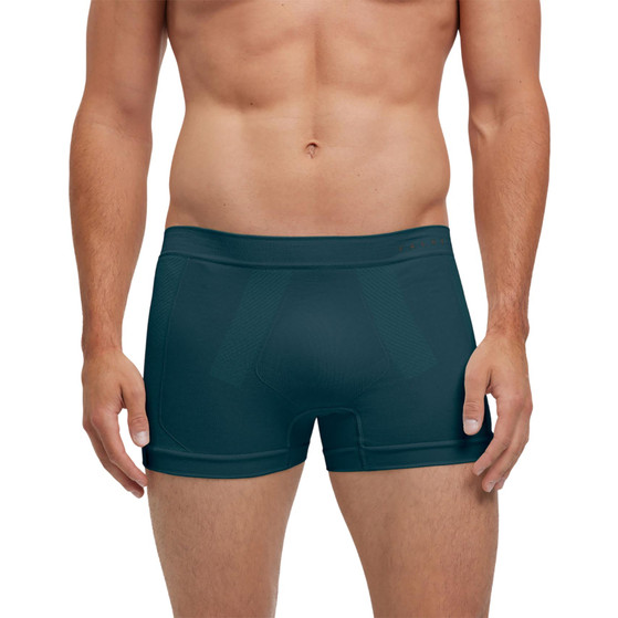 FALKE Warm Brief Heren