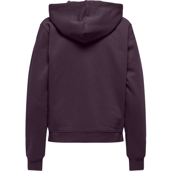 Only Joni Life Brush Full Zip Hoody