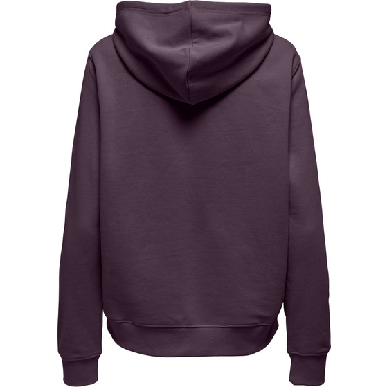 Only Joni Life Brush Loose Sweat