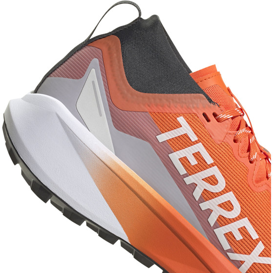 adidas Terrex Agravic GTX Heren