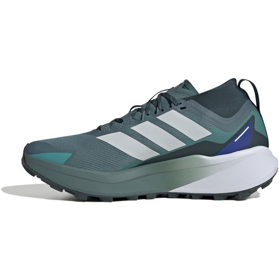 adidas Terrex Agravic GTX Heren