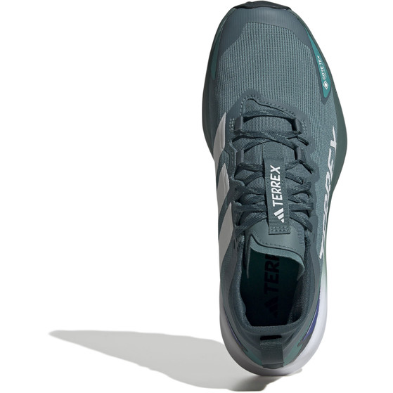 adidas Terrex Agravic GTX Heren