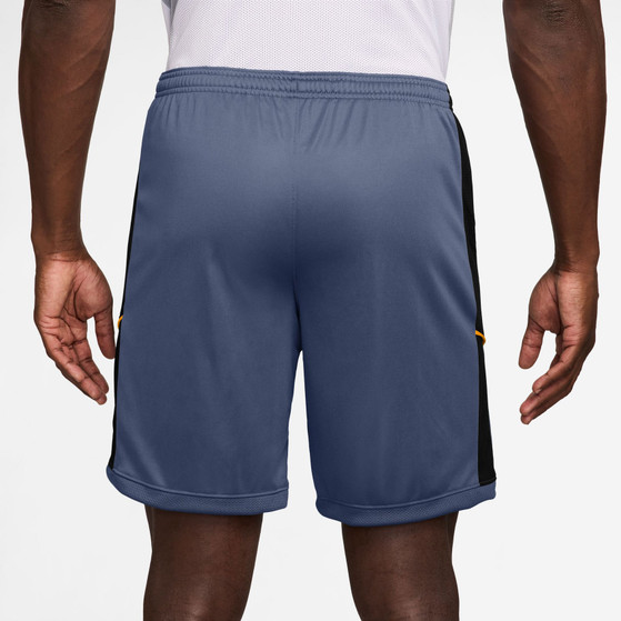 Nike Academy Short