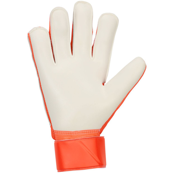 Nike Match Goalkeeper Gloves