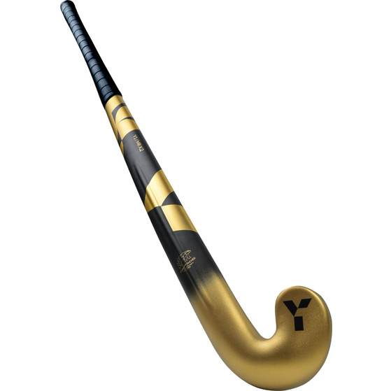 Y1 MR X.2
