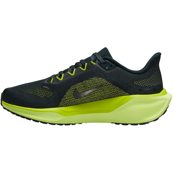 Nike Pegasus 41 Dames