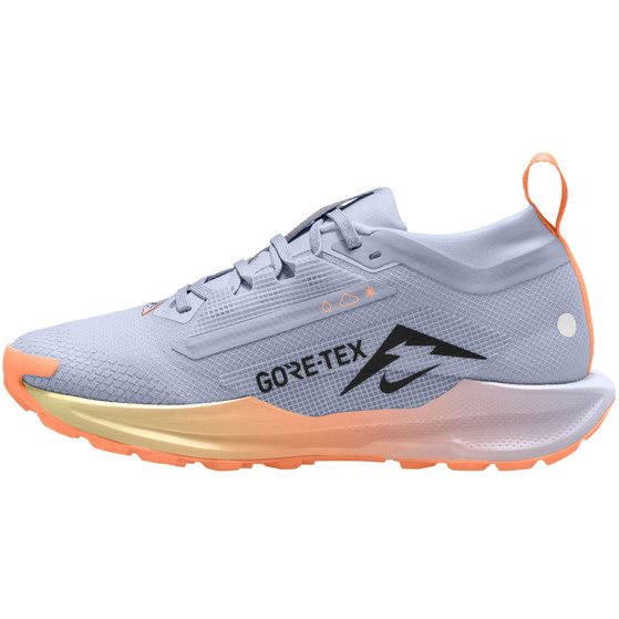 Nike Pegasus Trail 5 GTX Dames