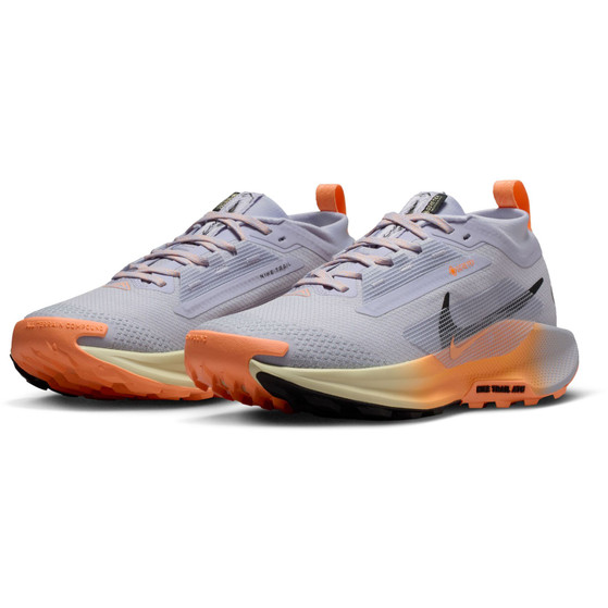 Nike Pegasus Trail 5 GTX Dames