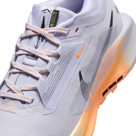 Nike Pegasus Trail 5 GTX Dames