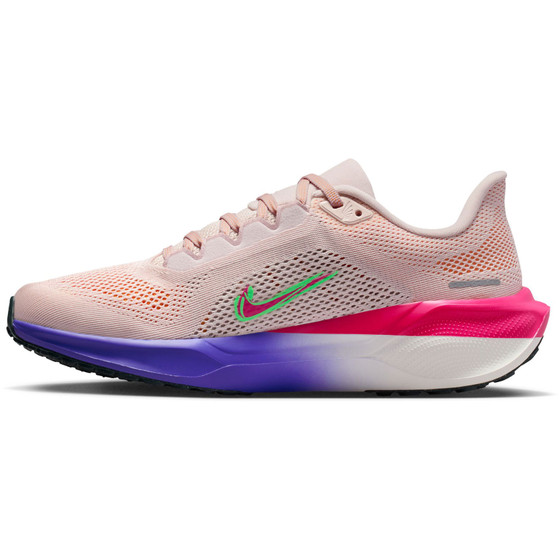 Nike Pegasus 41 EK Dames