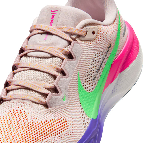Nike Pegasus 41 EK Dames