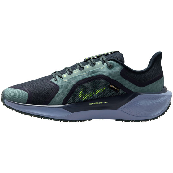 Nike Pegasus 41 GTX Heren