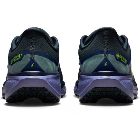 Nike Pegasus 41 GTX Heren