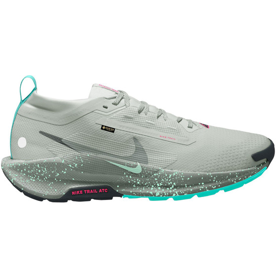 Nike Pegasus Trail 5 GTX Heren