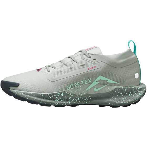 Nike Pegasus Trail 5 GTX Heren
