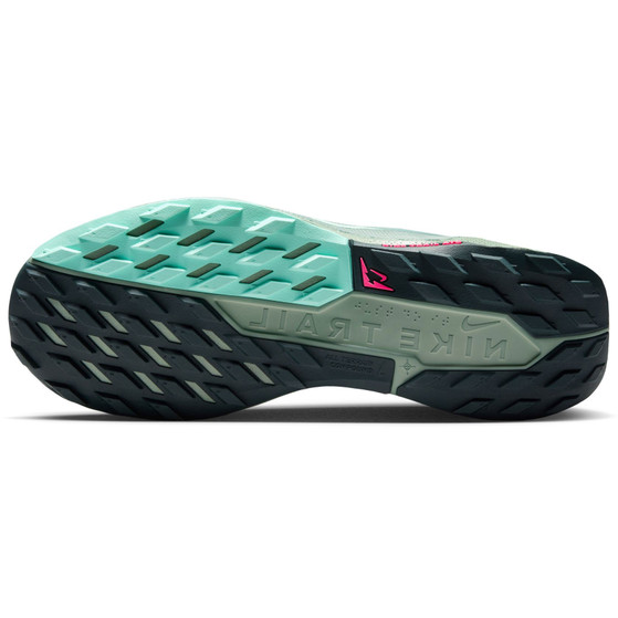 Nike Pegasus Trail 5 GTX Heren