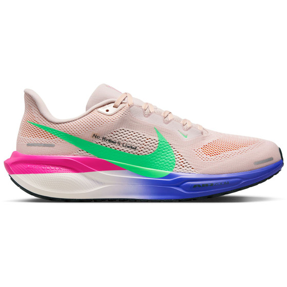 Nike Pegasus 41 EK Herren
