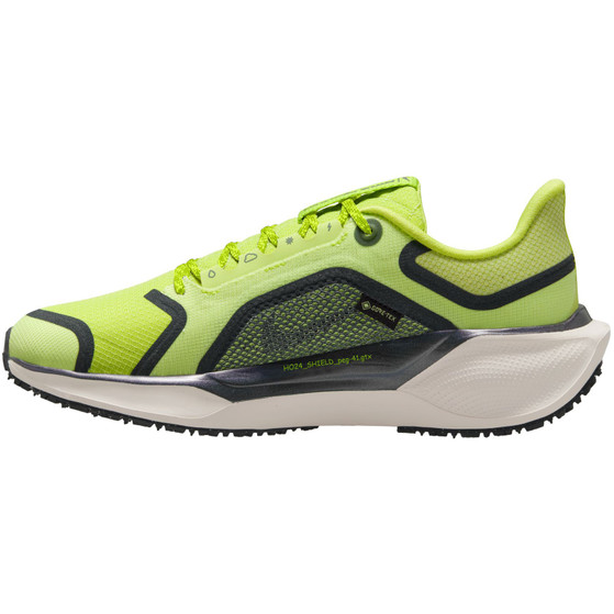 Nike Pegasus 41 GTX Dames