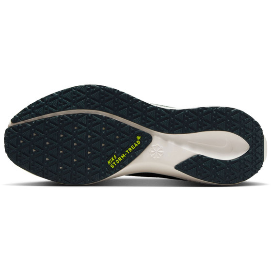 Nike Pegasus 41 GTX Dames