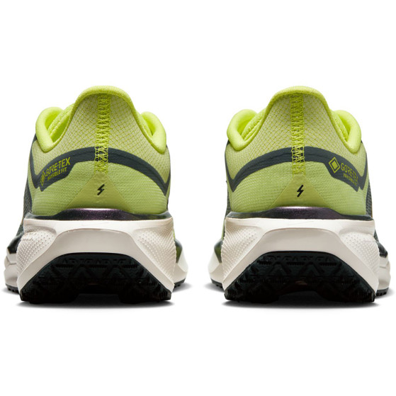 Nike Pegasus 41 GTX Dames